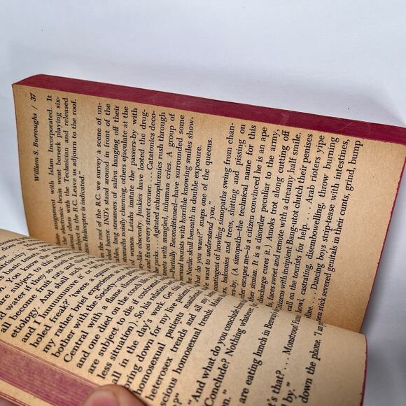 Naked Lunch - William Burroughs Vintage Black Cat Paperback 1966 - Picture 7 of 8